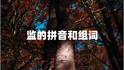 監(jiān)的拼音和組詞 監(jiān)的拼音和組詞