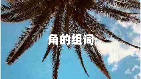 角的組詞