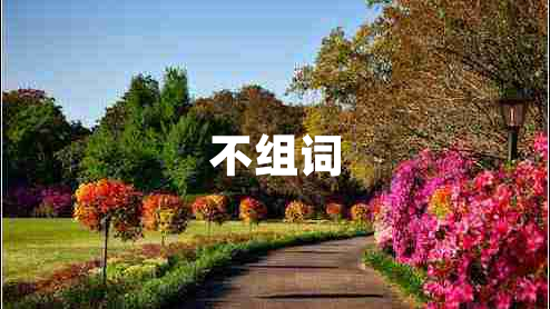 不組詞