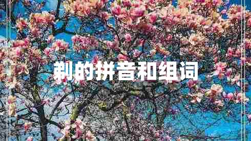 剃的拼音和組詞