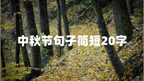 中秋節(jié)句子簡(jiǎn)短20字