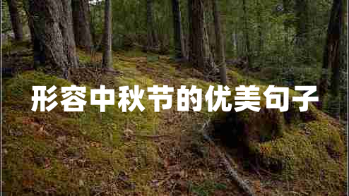 形容中秋節(jié)的優(yōu)美句子 形容中秋節(jié)的優(yōu)美句子