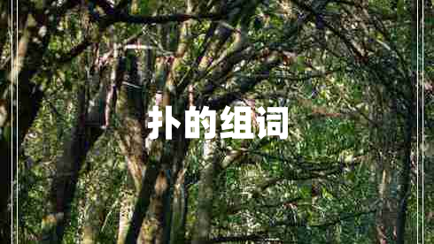 撲的組詞 撲的組詞