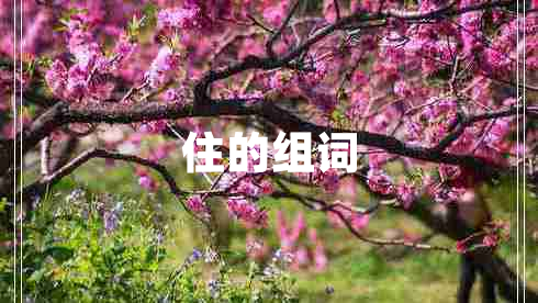 住的組詞