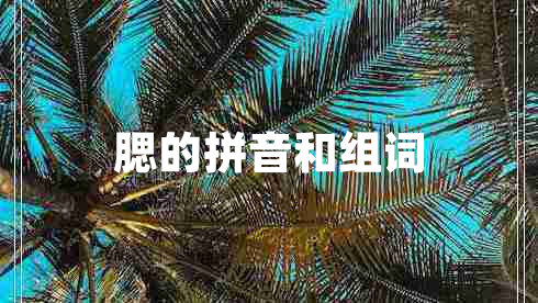 腮的拼音和組詞