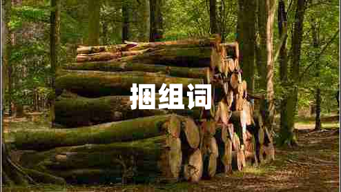 捆組詞