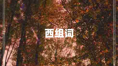 西組詞 西組詞