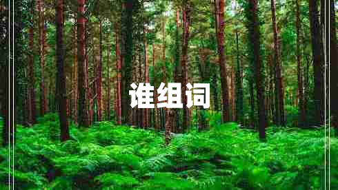 誰(shuí)組詞