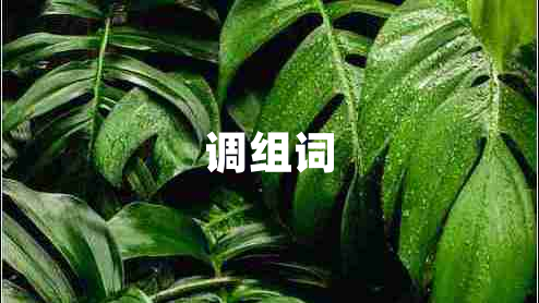 調(diào)組詞 調(diào)組詞