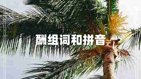 酬組詞和拼音
