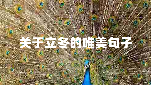 關于立冬的唯美句子