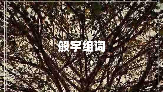 般字組詞