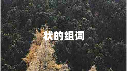 狀的組詞 狀的組詞