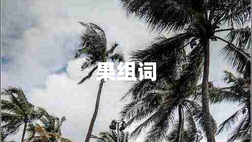 果組詞 果組詞