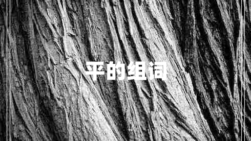 平的組詞 平的組詞