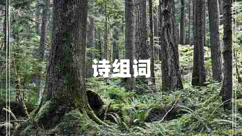 詩(shī)組詞