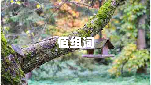 值組詞