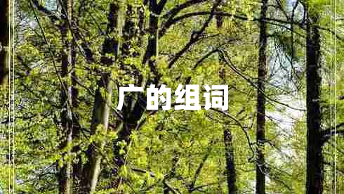 廣的組詞