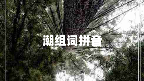 潮組詞拼音 潮組詞拼音