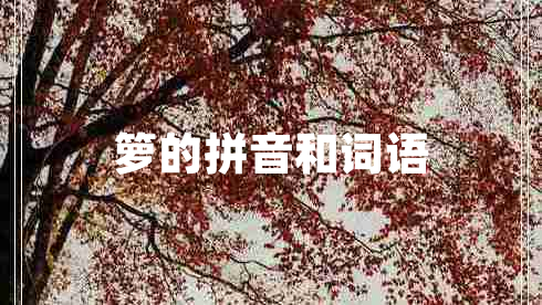 籮的拼音和詞語