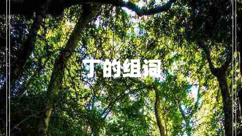 丁的組詞 丁的組詞