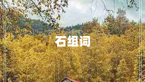 石組詞