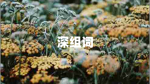 深組詞