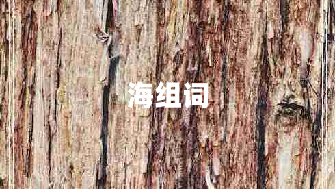 海組詞 海組詞