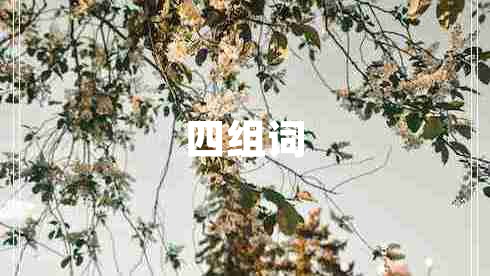 四組詞 四組詞