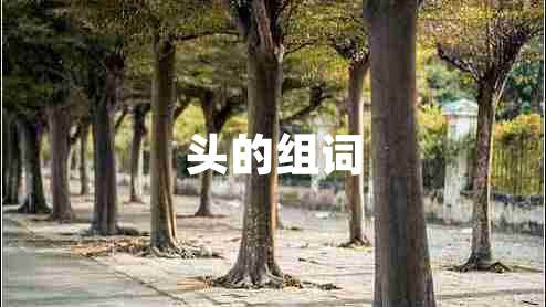 頭的組詞 頭的組詞