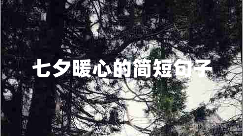 七夕暖心的簡短句子