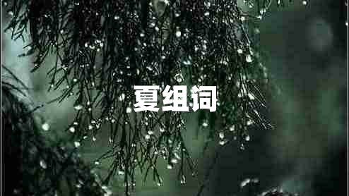 夏組詞