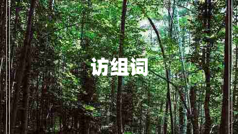 訪組詞