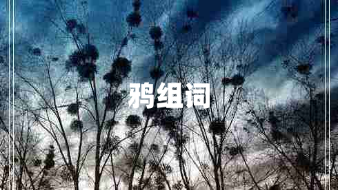 鴉組詞