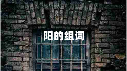 陽的組詞 陽的組詞