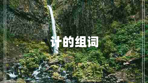 計的組詞