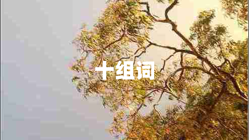 十組詞