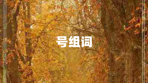 號(hào)組詞