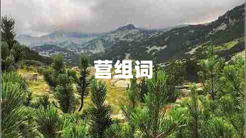 營組詞