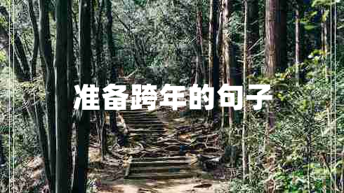 準(zhǔn)備跨年的句子 準(zhǔn)備跨年的句子