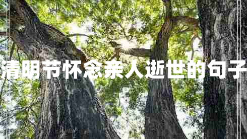 清明節(jié)懷念親人逝世的句子