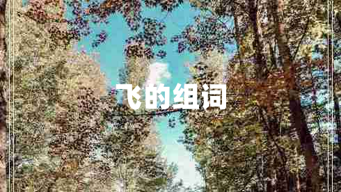 飛的組詞