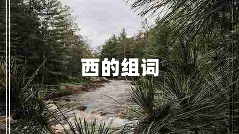 西的組詞 西的組詞