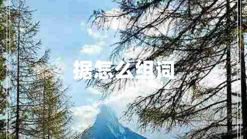 據(jù)怎么組詞