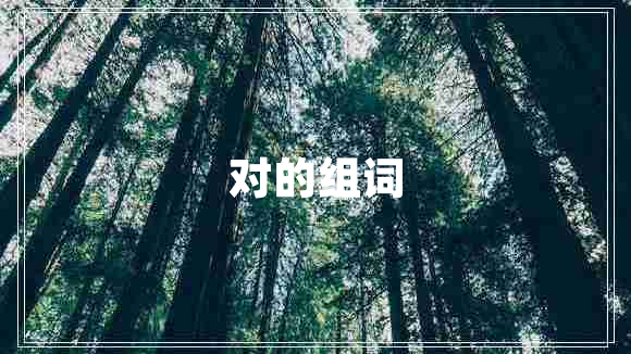 對(duì)的組詞
