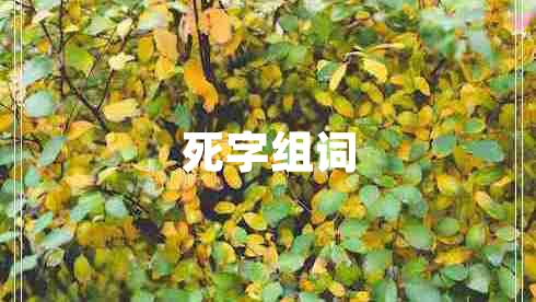 死字組詞