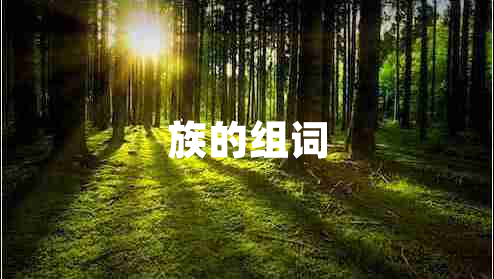 族的組詞