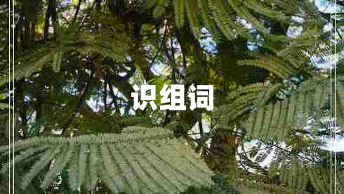 識組詞
