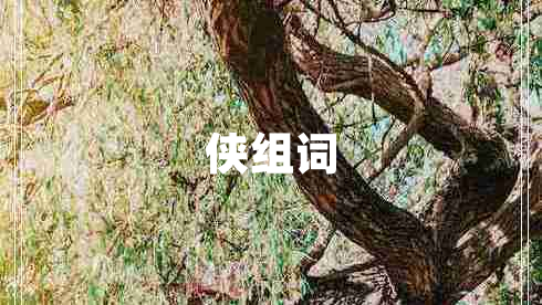 俠組詞