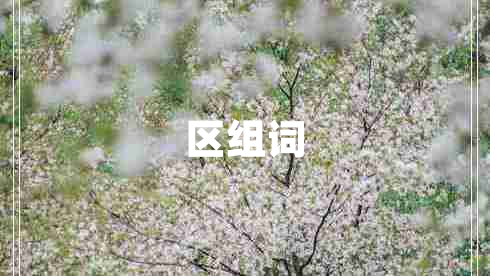 區(qū)組詞